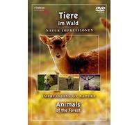 Tiere im Wald