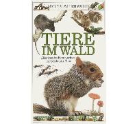 Tiere im Wald - Guck mal wie ich wachse