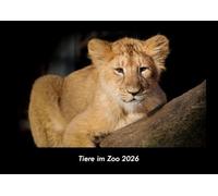 Tiere im Zoo 2026 Fotokalender DIN A3: Monatskalender mit Bild-Motiven von Haustieren, Bauernhof, wilden Tieren und Raubtieren