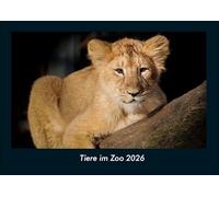 Tiere im Zoo 2026 Fotokalender DIN A4: Monatskalender mit Bild-Motiven von Haustieren, Bauernhof, wilden Tieren und Raubtieren