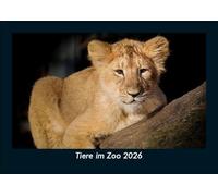 Tiere im Zoo 2026 Fotokalender DIN A5: Monatskalender mit Bild-Motiven von Haustieren, Bauernhof, wilden Tieren und Raubtieren