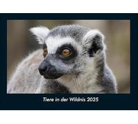 Tiere in der Wildnis 2025 Fotokalender DIN A4: Monatskalender mit Bild-Motiven von Haustieren, Bauernhof, wilden Tieren und Raubtieren