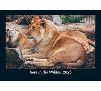 Tiere in der Wildnis 2025 Fotokalender DIN A5: Monatskalender mit Bild-Motiven von Haustieren, Bauernhof, wilden Tieren und Raubtieren