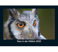 Tiere in der Wildnis 2025 Fotokalender DIN A5: Monatskalender mit Bild-Motiven von Haustieren, Bauernhof, wilden Tieren und Raubtieren