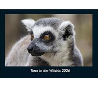 Tiere in der Wildnis 2026 Fotokalender DIN A4: Monatskalender mit Bild-Motiven von Haustieren, Bauernhof, wilden Tieren und Raubtieren