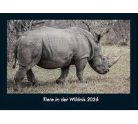 Tiere in der Wildnis 2026 Fotokalender DIN A4: Monatskalender mit Bild-Motiven von Haustieren, Bauernhof, wilden Tieren und Raubtieren