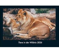 Tiere in der Wildnis 2026 Fotokalender DIN A4: Monatskalender mit Bild-Motiven von Haustieren, Bauernhof, wilden Tieren und Raubtieren