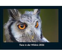 Tiere in der Wildnis 2026 Fotokalender DIN A4: Monatskalender mit Bild-Motiven von Haustieren, Bauernhof, wilden Tieren und Raubtieren