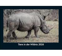Tiere in der Wildnis 2026 Fotokalender DIN A5: Monatskalender mit Bild-Motiven von Haustieren, Bauernhof, wilden Tieren und Raubtieren