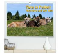 Tiere in Freiheit - Nutztiere auf der Alm (hochwertiger Premium Wandkalender 2026 DIN A2 quer), Kunstdruck in Hochglanz: Sie sehen glückliche Nutztiere in freier Natur.