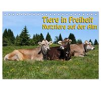 Tiere in Freiheit - Nutztiere auf der Alm (Tischkalender 2026 DIN A5 quer), CALVENDO Monatskalender: Sie sehen glückliche Nutztiere in freier Natur.