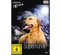 Tierisch Extrem Vol. 3: Die Top 10 Superhunde