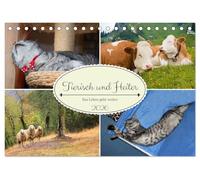 Tierisch und Heiter - Das Leben geht weiter 2026 (Tischkalender 2026 DIN A5 quer), CALVENDO Monatskalender: Lustige Szenen aus der Tierwelt