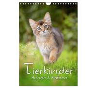 Tierkinder Hunde und Katzen (Wandkalender 2026 DIN A4 hoch), CALVENDO Monatskalender: Schöner Tierkinder Kalender mit Hunde- und Katzenkindern