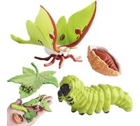 Tierlebenszyklus-Figuren - Pädagogisches Lernset | Realistische Wachstums-Modelle (Schmetterling, Schildkröte, Motte), Mint-Lernspielzeug Für Biologie & Naturkunde