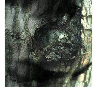 Yann Tiersen Waltz of the Monsters (CD)