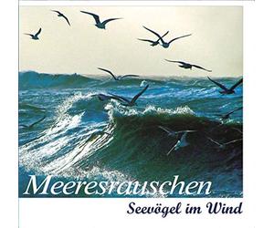Tierstimmen - Meeresrauschen-Seevögel im Wind