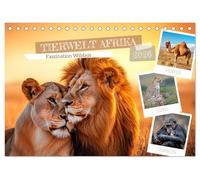 TIERWELT AFRIKA Faszination Wildnis (Tischkalender 2026 DIN A5 quer), CALVENDO Monatskalender: Vielfalt der afrikanischen Fauna entdecken