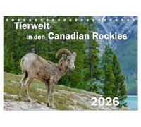 Tierwelt in den Canadian Rockies (Tischkalender 2026 DIN A5 quer), CALVENDO Monatskalender: Wunderschöne, spektakuläre und emotionale Tieraufnahmen ... Paradies für Tier- und Naturliebhaber sind