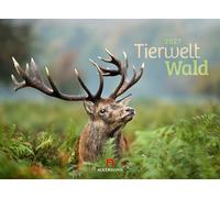 Tierwelt Wald Kalender 2027 | Bildstarker Tier-Kalender im Querformat (45x33 cm) | Heimische Wildtiere in ihrem Lebensraum