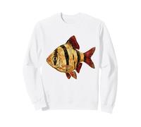 Tiger Barb Puntigrus tetrazona Acquario d'Acqua Dolce Felpa