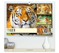 Tiger. Die schönsten Katzen der Erde (hochwertiger Premium Wandkalender 2026 DIN A2 quer), Kunstdruck in Hochglanz: Das sind aber große Miezekatzen!