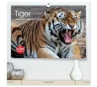 Tiger. Gestreift, wild und schön (hochwertiger Premium Wandkalender 2026 DIN A2 quer), Kunstdruck in Hochglanz: Gestreifte Kraftpakete in vollendeter Schönheit