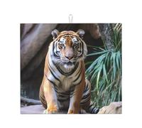 Tiger in the zoo, tappetino scolapiatti super assorbente, tappetino da cucina con gancio, facile da pulire, accessori da cucina, scolapiatti per piatti, 45,7 x 40,6 cm