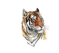 Tiger Temporary Tattoo For Women Men Kids Girls Watercolor Tattoo Sticker waist Tatoos Sticker 20 * 15cm(001)