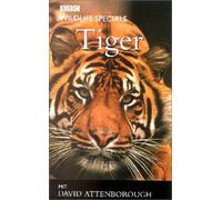 Tiger - Wildlife Specials