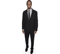 Tiger Woods (Black Suit) mini formato