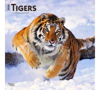 BrownTrout Calendario originale Tigers - Tiger 2026, 16 mesi, multilingue