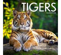 Tigers Calendar 2026: Striking Wildlife Photography of the World’s Big Cats