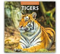 Tigers - Tiger 2027 - 16-Monatskalender: Original Red Robin Publishing Ltd-Kalender [Mehrsprachig] [Kalender]