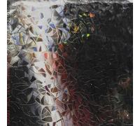 Tignor, Christopher - Bleeding Past the Edges