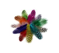 Tigofly 100 pz/lotto 11 Colori Misti Perla di Guinea Perla di Gallina Piuma di Faraona Piuma Hackles Maculato Piume Mosche Legare Materiali