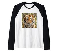Tigre Close Up Ritratto Intenso Fauna Selvatica Animale Maglia con Maniche Raglan