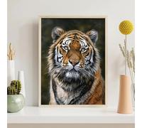 Tigre Diamond PaintingAnimale Diamond Painting Kit Completo 5D DIY Pittura Diamante Strass Ricamo a Punto Croce Dimond Art, Nuovo Regalo di Casa Decorazione, Regali per le donne 50x65cm PjY6634 Q-A