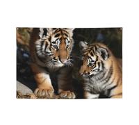 Tigre siberiana cuccioli Banner Party Decor Sfondo Bandiera Festa di compleanno Fotografia Sfondo Decorazione Banner e segni Decorazione da parete Banner Feste Forniture Bomboniere 180 x 119 cm