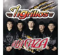 Tigrillos - A La Caza