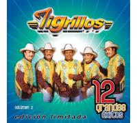 Tigrillos - Vol. 2-12 Grandes Exitos
