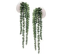 Tiita Piante grasse artificiali da appendere, filo di perle finte in ceramica bianca, set da 2