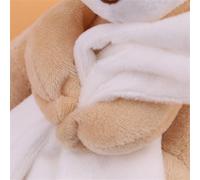 TIKATARER Morbida Coperta di Sicurezza per Bambini in Peluche, Giocattolo Succhietto a Forma di Orsetto di Peluche, Adorabile Coperta per Bambini da Compagnia, Ideale per Neonati e Registro delle