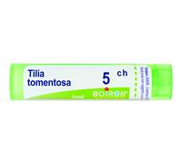 Tilia Tomentosa 5 Ch Tubo 2020