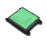 TILIEINE Filtro Aria per Moto Adatto per Bajaj Pulsar N250 N160 N 250 160 Elemento di Ricambio per Filtro dell'Aria e Filtro dell'olio(Dark Grey)