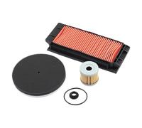 TILIEINE Filtro Aria per Moto Adatto per ZONTES ZT150D ZT150M 150D 150M Elemento di Pulizia dell'aspirazione del Motore Filtro dell'Aria per Moto Filtri dell'olio(1set)