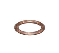 TILIEINE Paraolio 10 Pezzi OE#N0138157 Adatto per la Guarnizione della Vite di Scarico della Coppa dell'olio di Volkswagen, Adatto per Audi e Adatto per Skoda Paraolio Doppio Labbro(10PCS Copper)