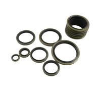 TILIEINE Paraolio Set di guarnizioni universali in Gomma O-Ring da 110 Pezzi, Adatte per Kit SAE Paraolio Doppio Labbro