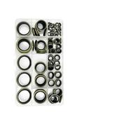 TILIEINE Paraolio Tappo di Scarico in Metallo con Rondella Incollata Gomma Idraulica Ad Alta Pressione, Adatta per Anello Tenuta Combinato M6-M14 M24 Paraolio Doppio Labbro(120PCS M5-M24)