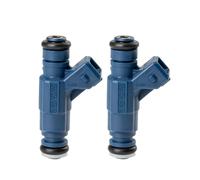 TILIEINE Sostituzione iniettori Carburante 2 Pezzi Adatto per Polaris Adatto per RZR EFI 700 800 ugello iniettore Carburante OEM 0280156208 Iniettore